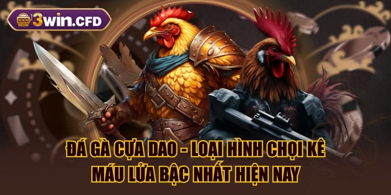 Đá Gà Cựa Dao - Loại Hình Chọi Kê Máu Lửa Bậc Nhất Hiện Nay