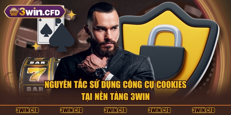 Nguyên tắc sử dụng công cụ Cookies tại nền tảng 3WIN