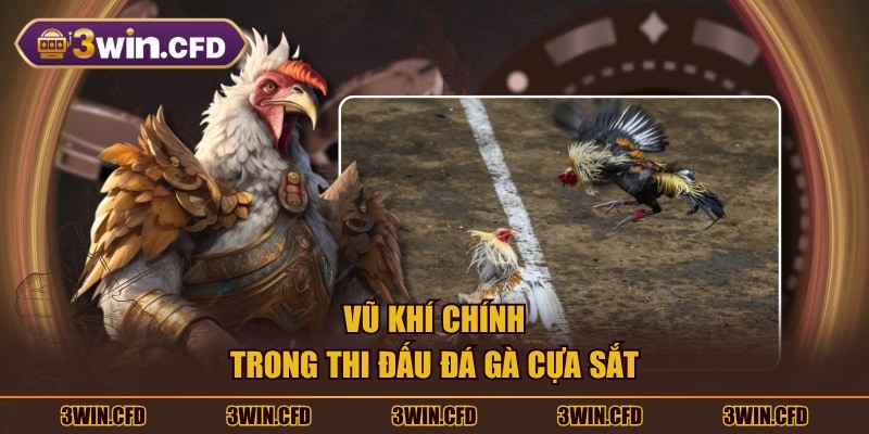 Vũ khí chính trong thi đấu đá gà cựa sắt